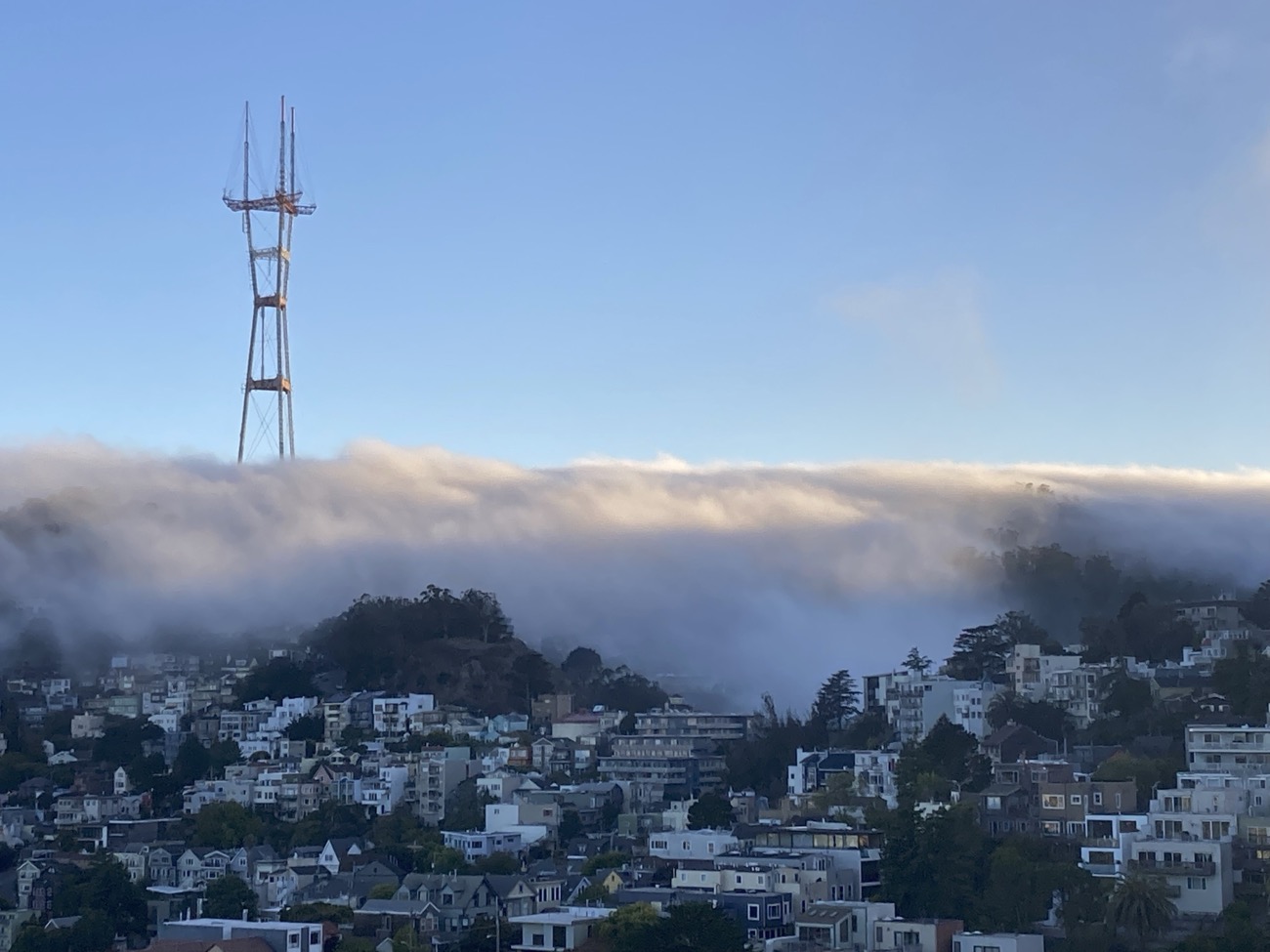 Sutro Tower stands above a blanket of fog. Seen from Corona Heights during an afternoon run.